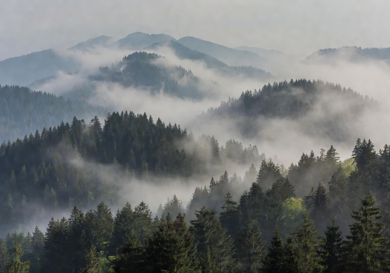 Misty Black Forest panorama with layers of pine-covered mountains